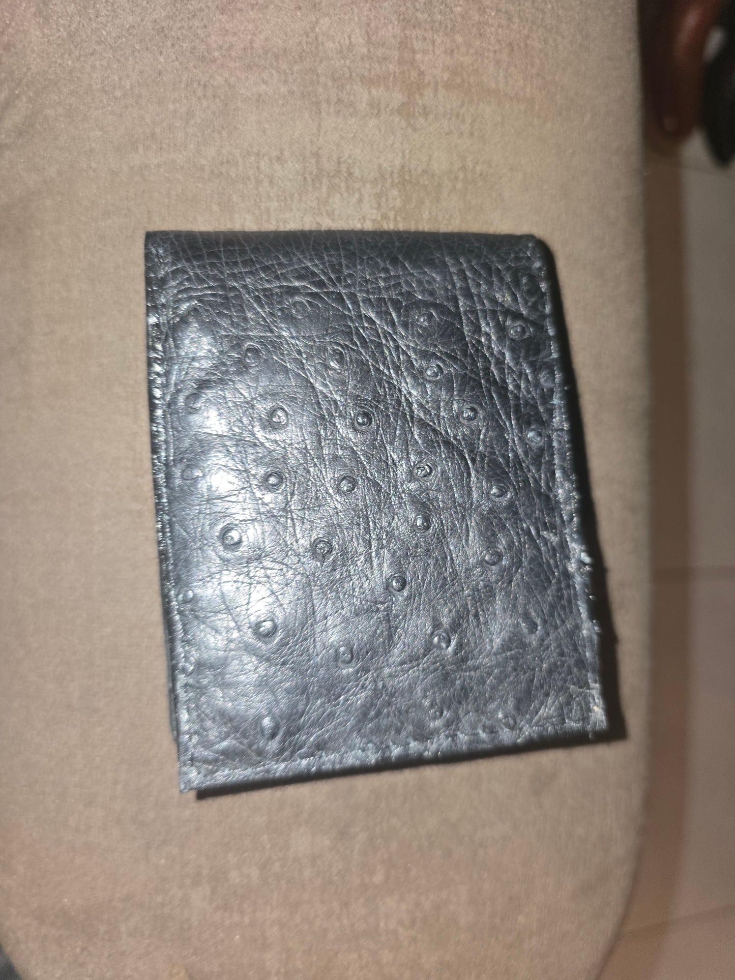 Ostrich wallet